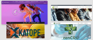 A collage of four websites designed by Zebra Crossing World, including Orlovska Dance Academy, Dreyer & Dreyer, ZenCRU, and Katope Consultancy.